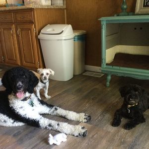 Meet your Posher, Gina